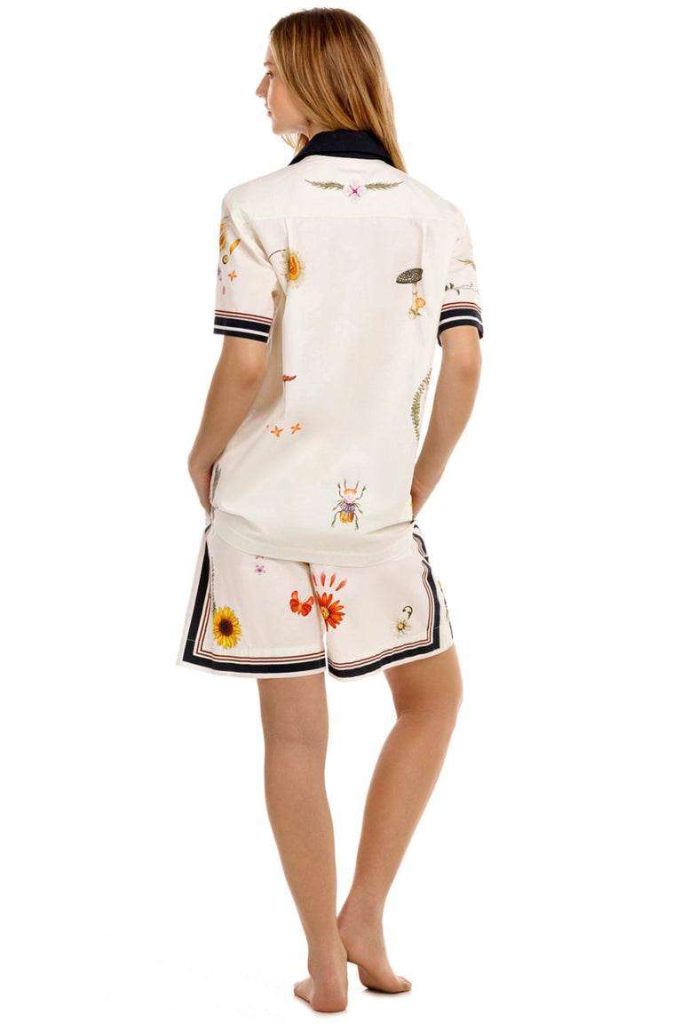Main image -  Ambar-Shorts-Malaga-19319-1.jpg