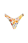 Bikini Bottom Avy